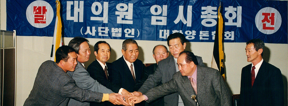 앞을 바라보며 모여있는 돼지