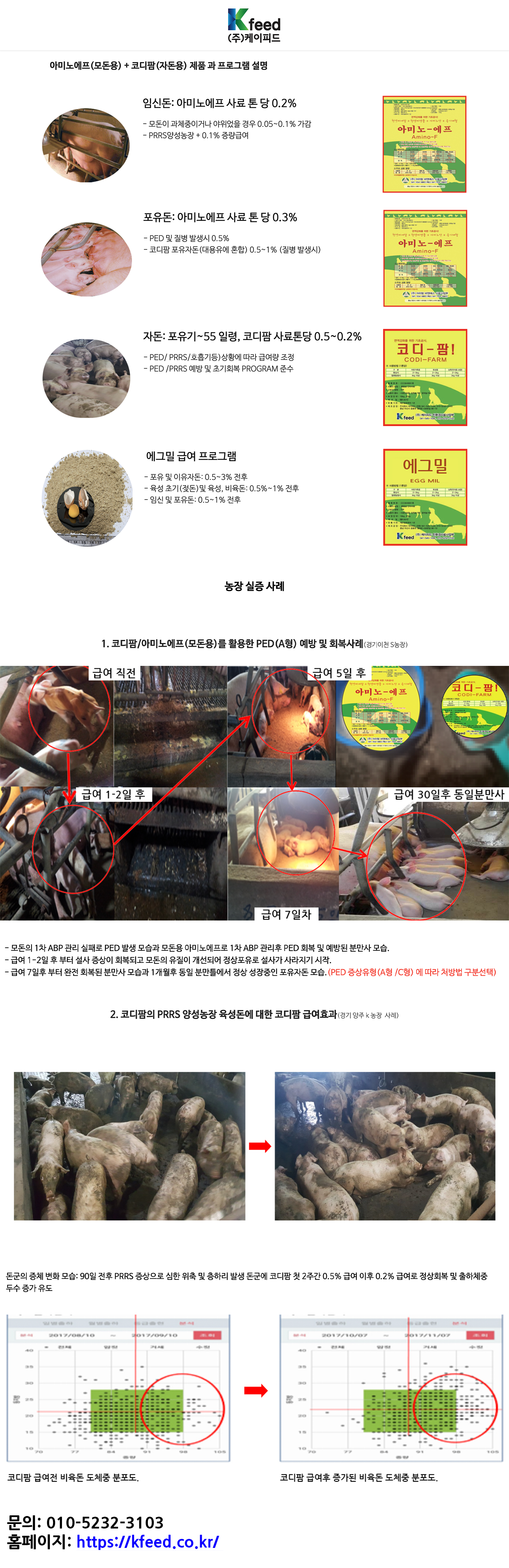 케이피드