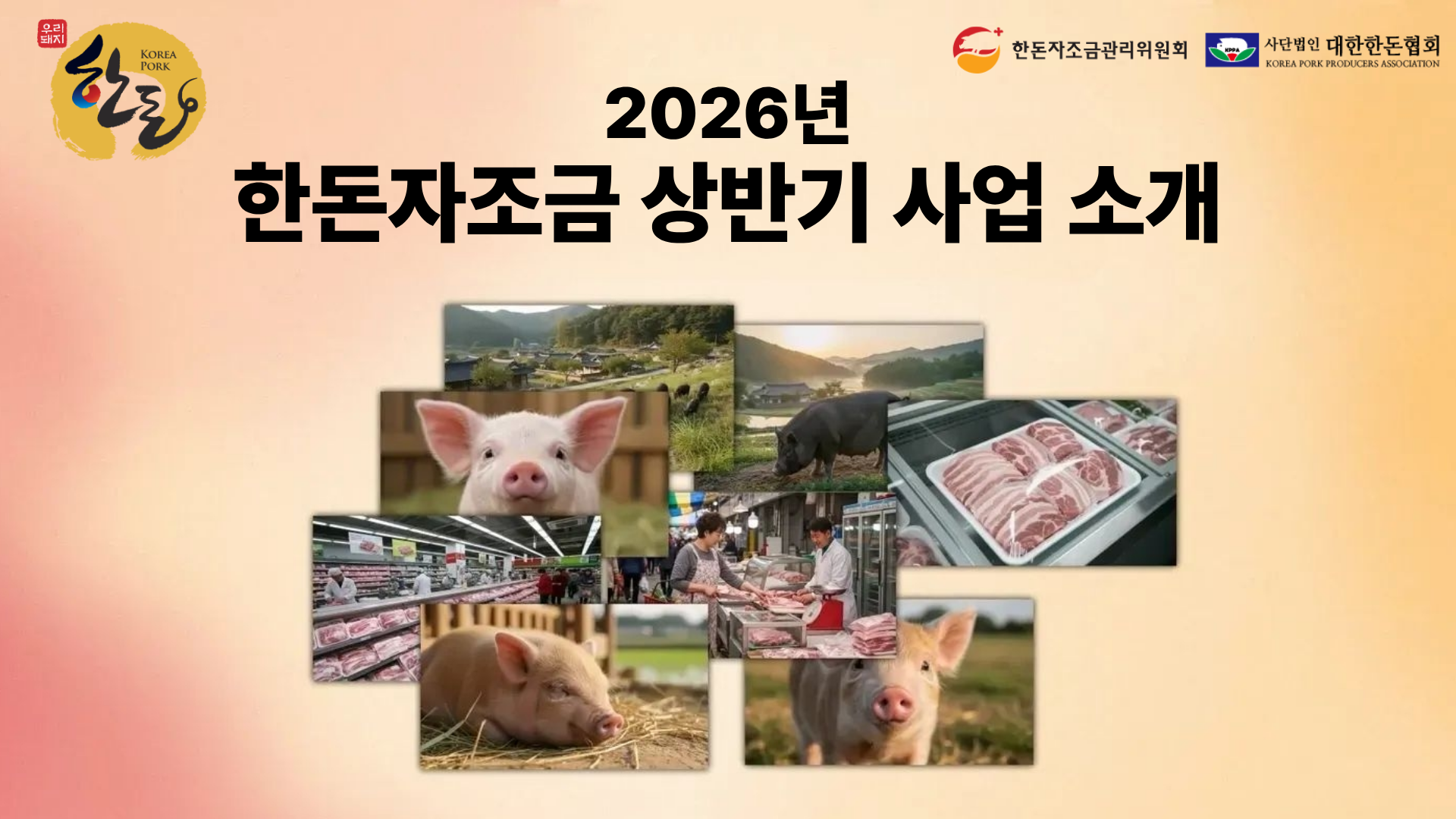 [영상] 한돈자조금 상반기 사업 소식