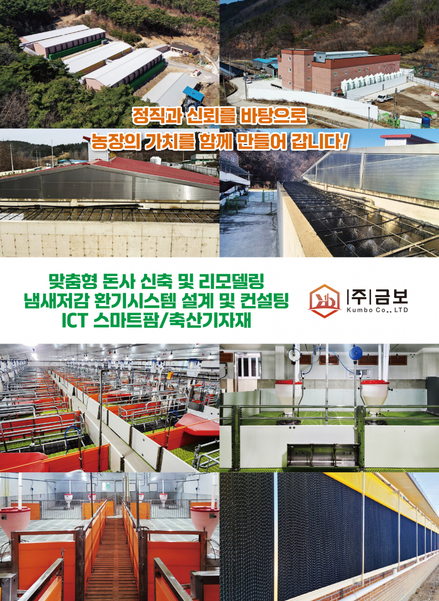 돈사건축 금보