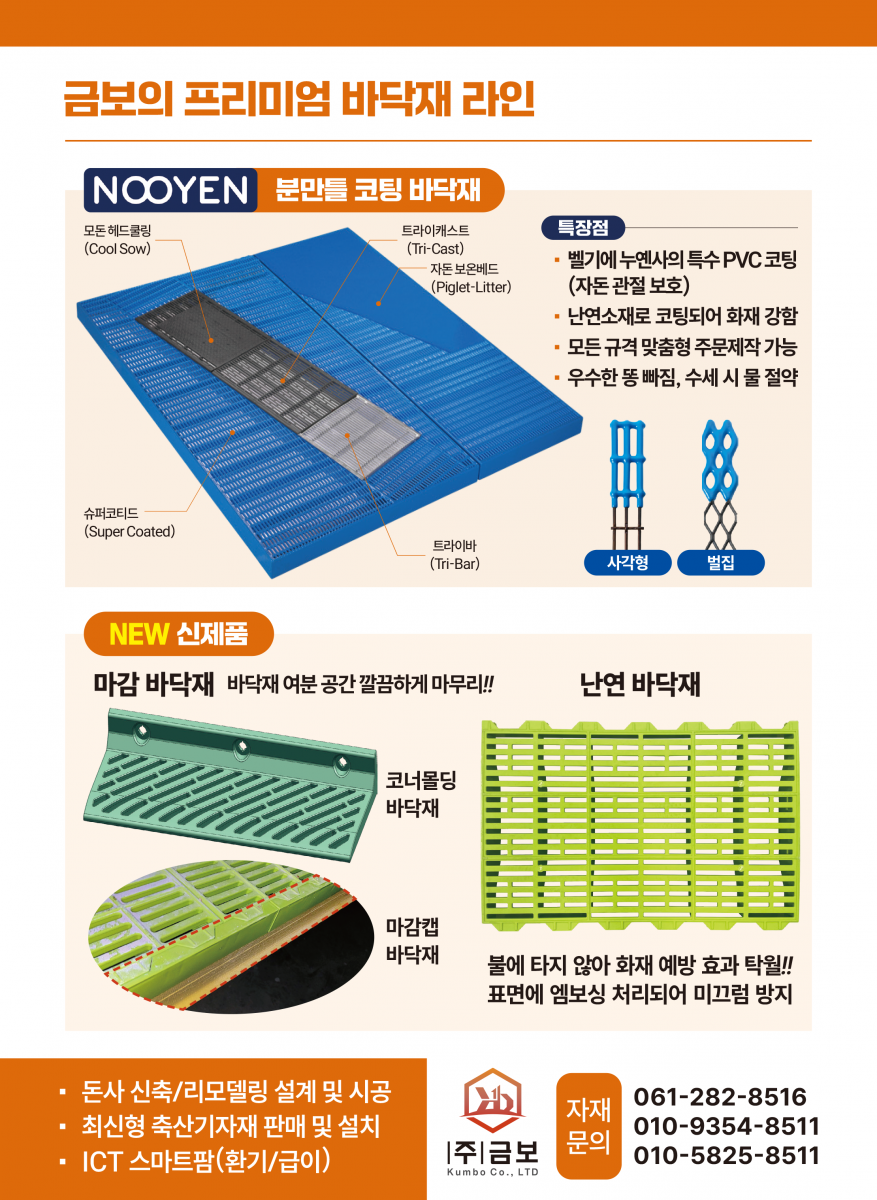 금보