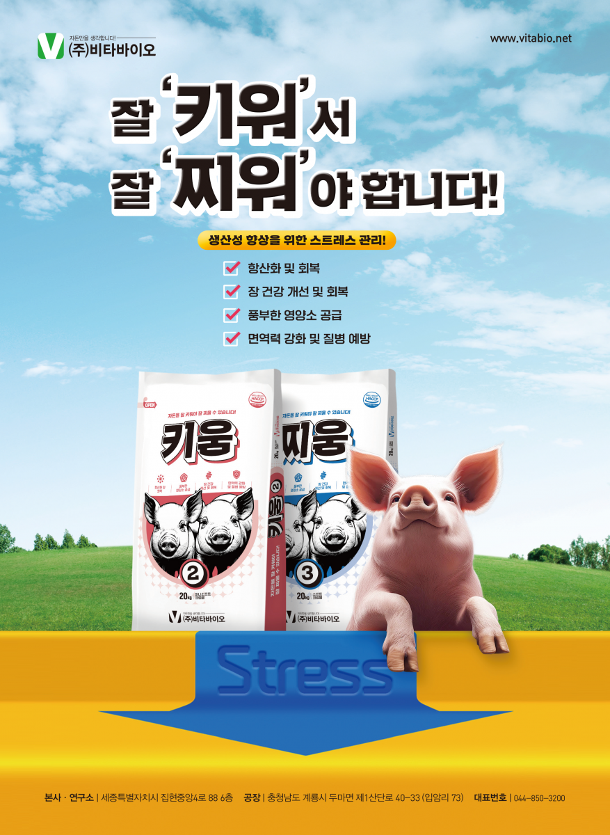 산화아연 무첨가 자돈사료