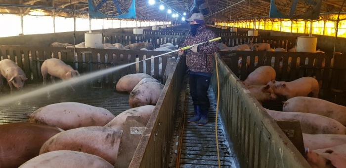 3월 축산환경개선의 날 사진