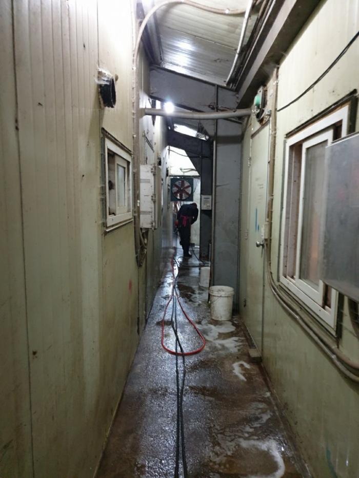 화천발 양돈장 ASF 관련 농가 소독 및 차단방역 사진