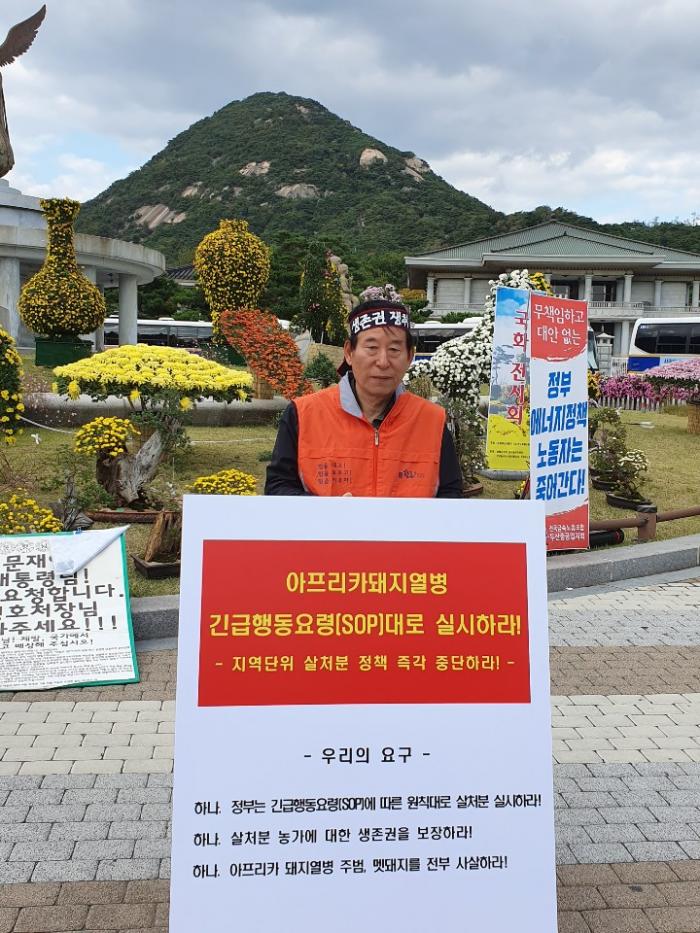 10/15 ASF 연천 전체 살처분 반대 1인시위