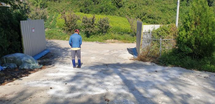 (1014)(철원지부)화천발 양돈장 ASF 관련 철원지역 농가 소독 및 차단방역 사진