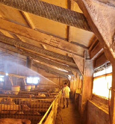 화천발 양돈장 ASF 관련 농가 소독 및 차단방역 사진