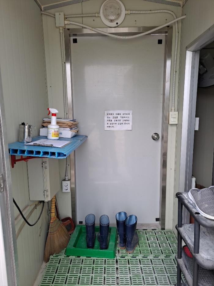 화천발 양돈장 ASF 관련 농가 장화 갈아신기 캠페인 사진