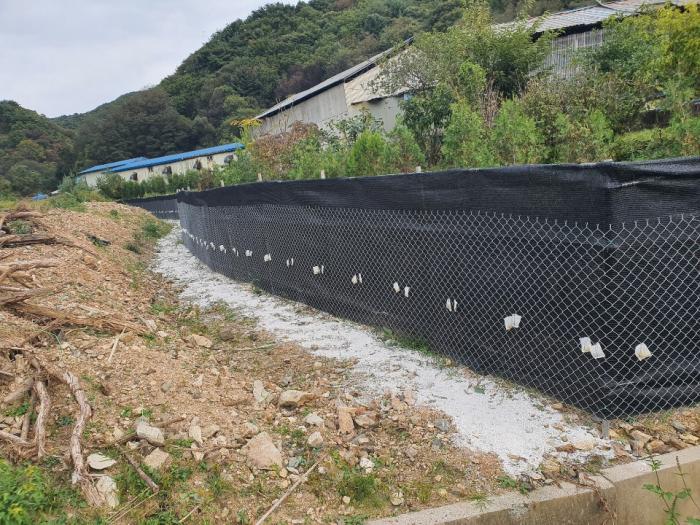 (1014)(철원지부)화천발 양돈장 ASF 관련 철원지역 농가 소독 및 차단방역 사진