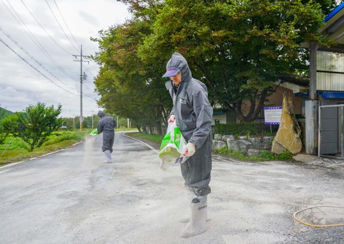 전국 한돈농가 소독캠페인