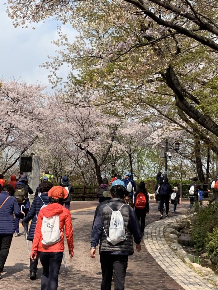 ‘한돈과 함께하는 남산 걷기대회’ 개최