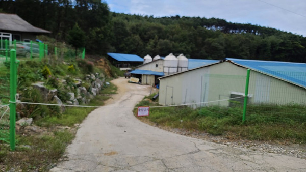 ASF 관련 농가 출입차단 및 차단방역 사진