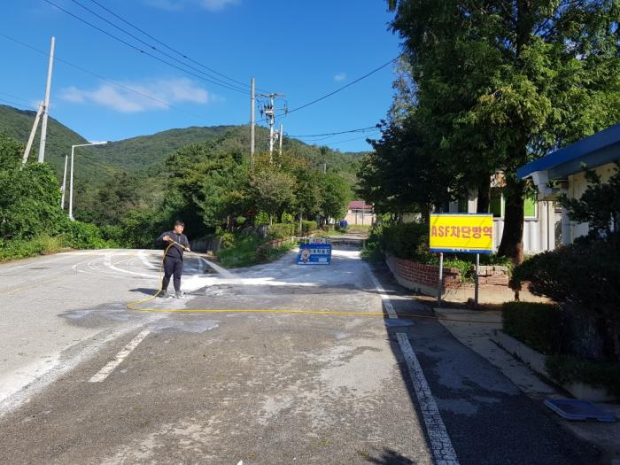 전국 한돈농가 소독캠페인