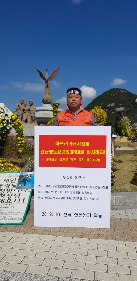 10/15 ASF 연천 전체 살처분 반대 1인시위