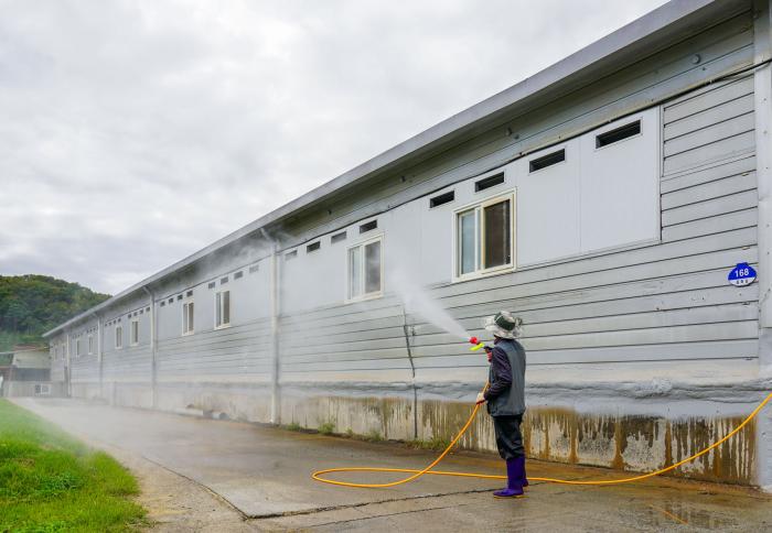 전국 한돈농가 소독캠페인